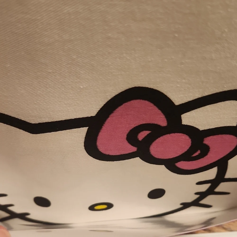 Hello Kitty Pink and Rainbow Shower Curtain